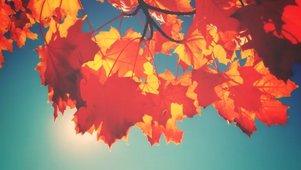 Historia del apellido Villafraz y su legado